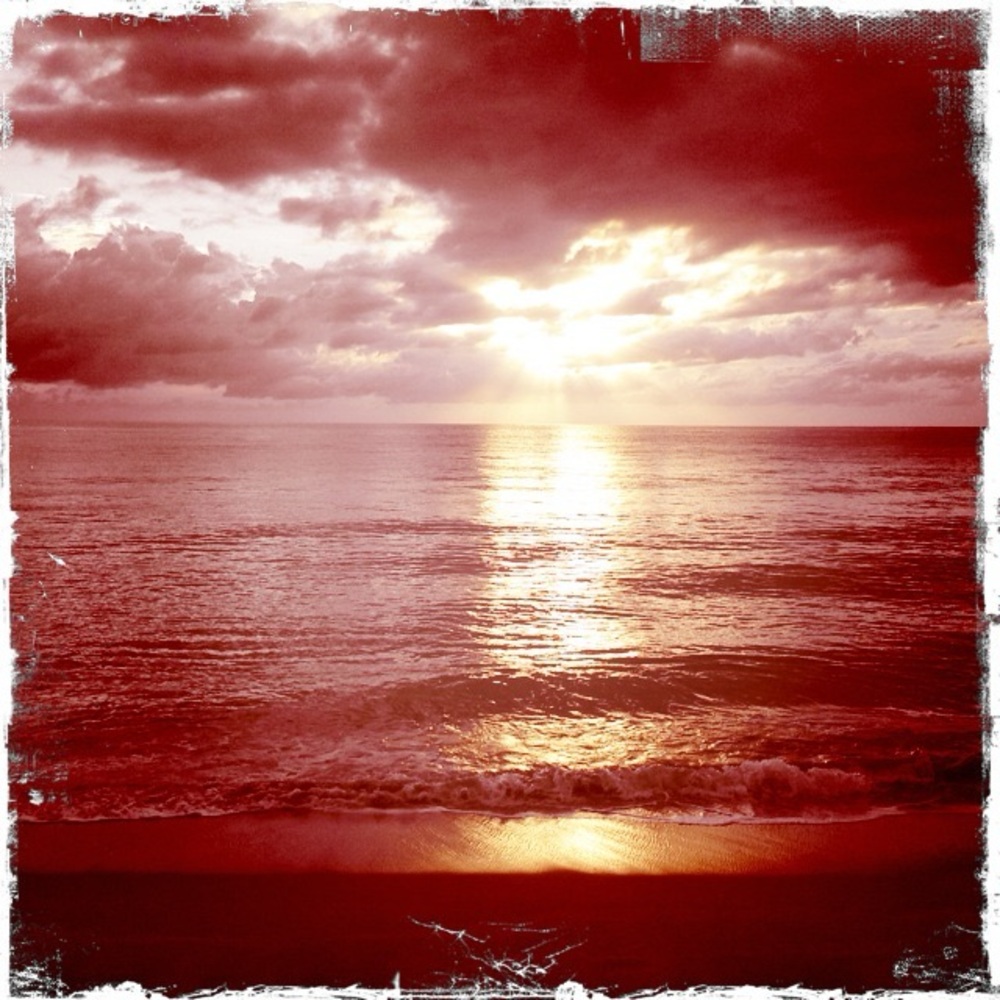 Meet your Posher, Daisy Pink